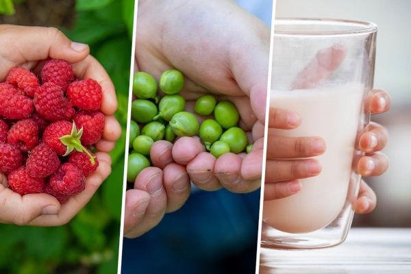 Empowering Farmers and Youth with the EU School Fruit, Vegetables, and Milk Program