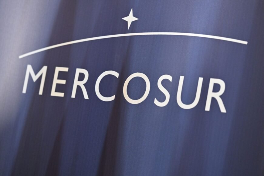 European Parliament seeks EU Court of Justice review of Mercosur agreement