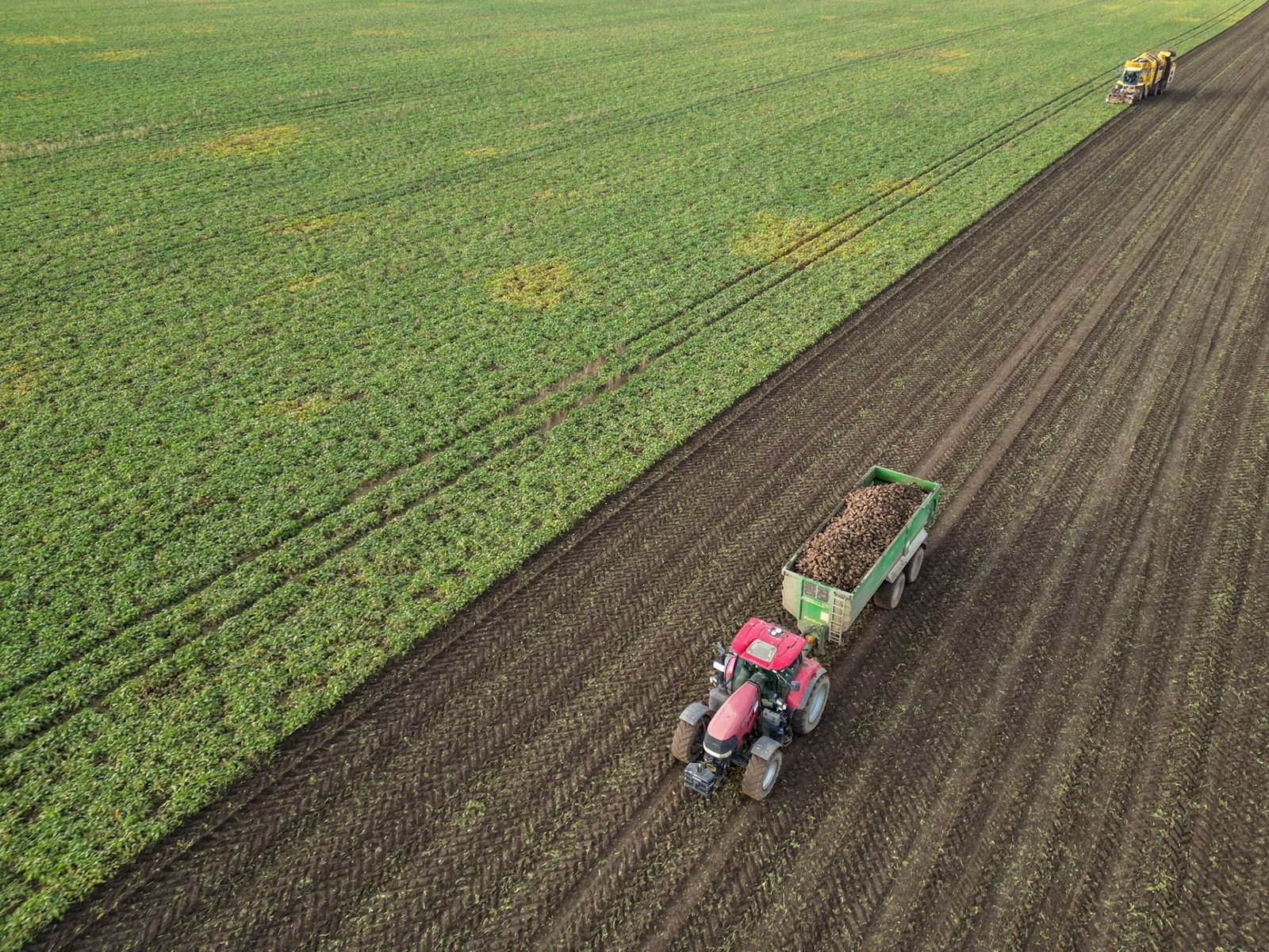German Associations Caution Against Setbacks in Agricultural Policy
