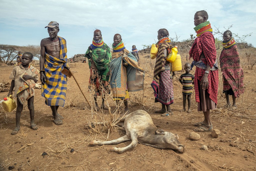 Global Briefing: Winter Assaults in Ukraine, Imminent Food Aid Reductions in Nigeria, Drought Conditions in Kenya