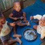 Global News Summary: Combating Famine, Supporting Refugees in Kenya, and Civilian Impact in Ukraine