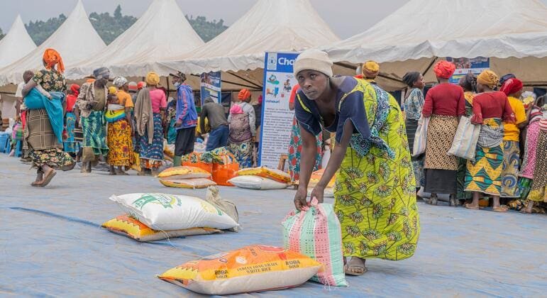 Global News Summary: UN Support in Haiti, Theo James in Syria, Emergency Appeal for DR Congo