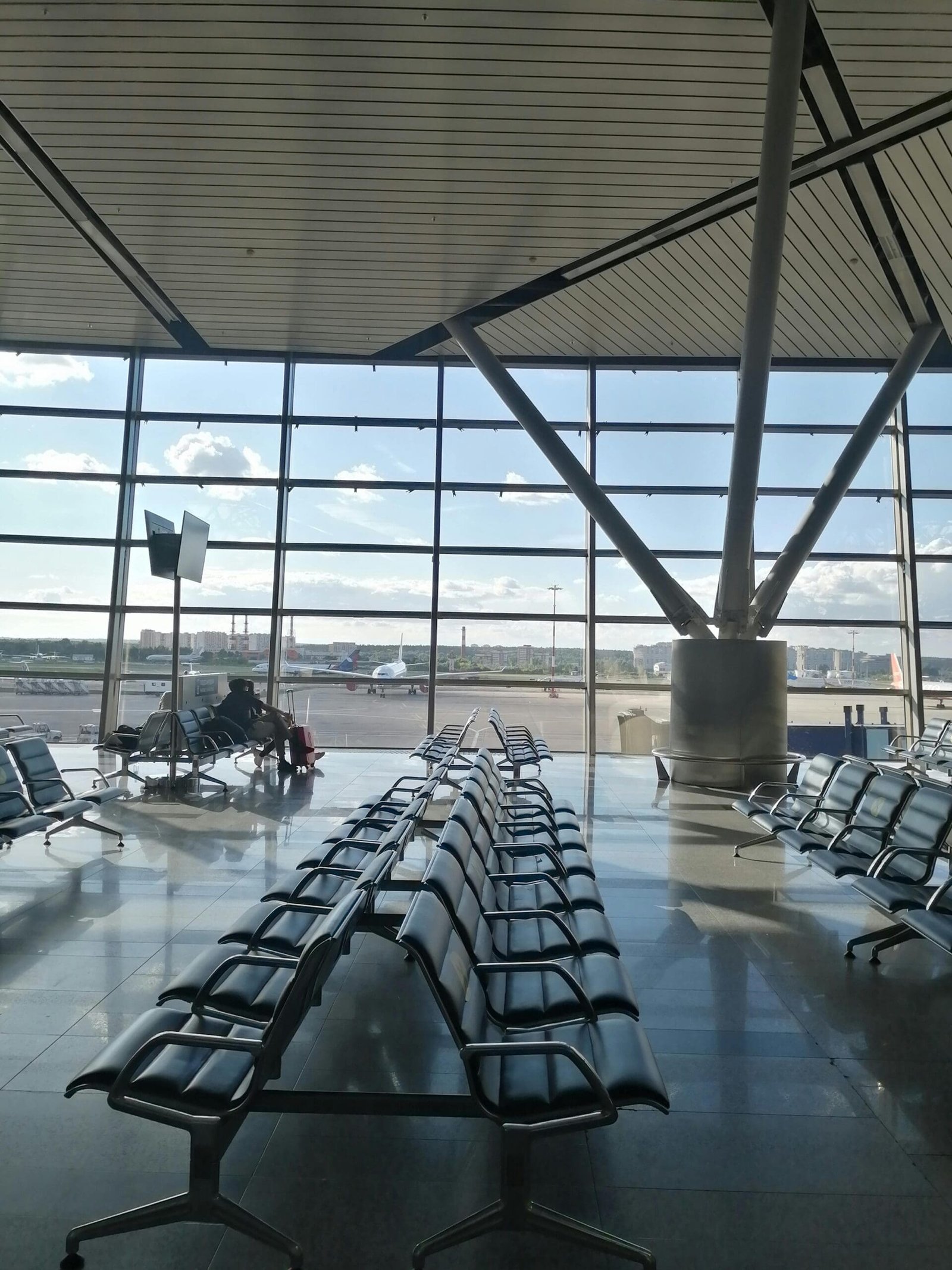 Russian Domodedovo Airport Set for Auction Sale