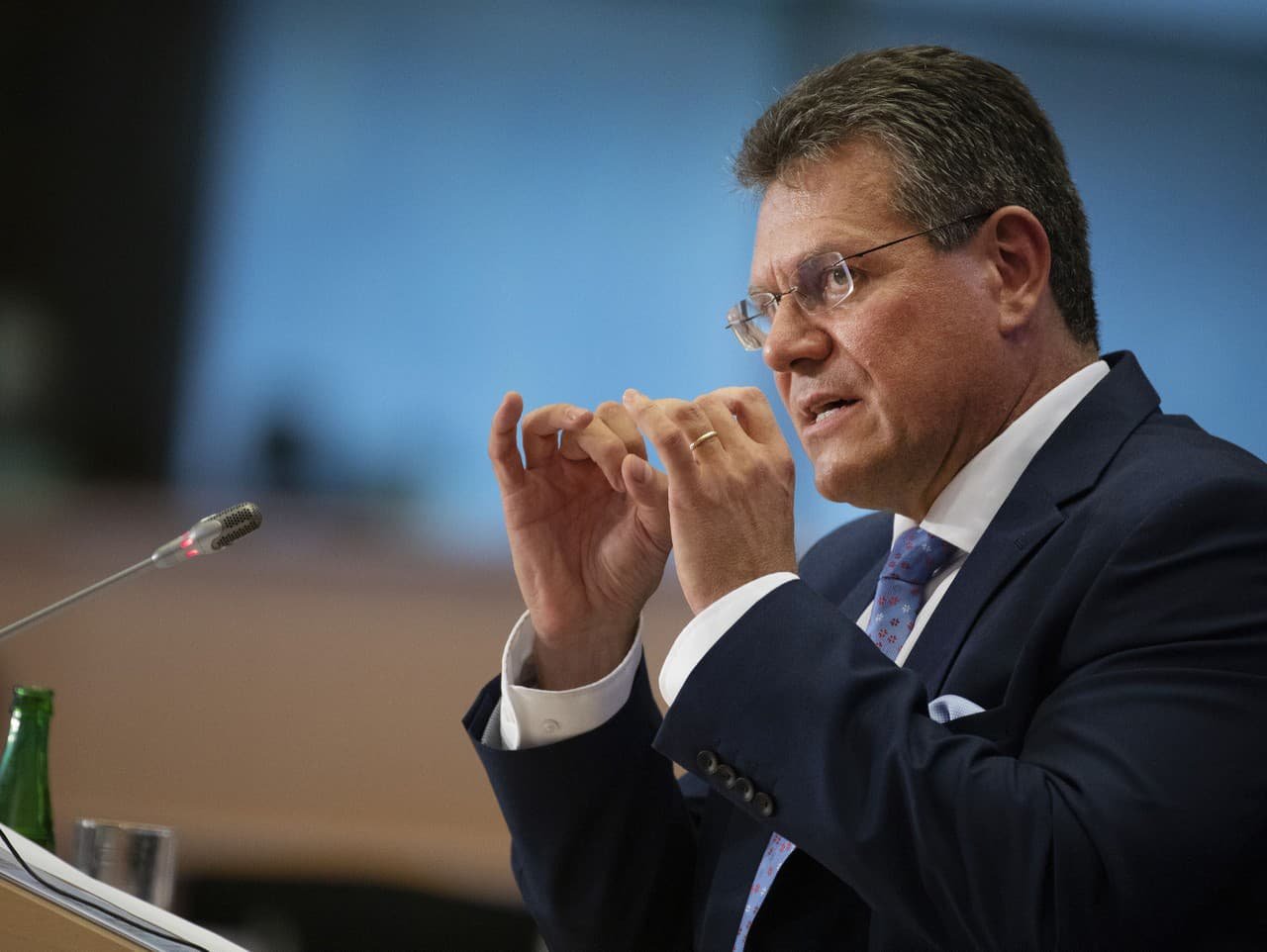 Šefović: There is no need to worry about the trade agreement with the Mercosur countries, just like with CETA