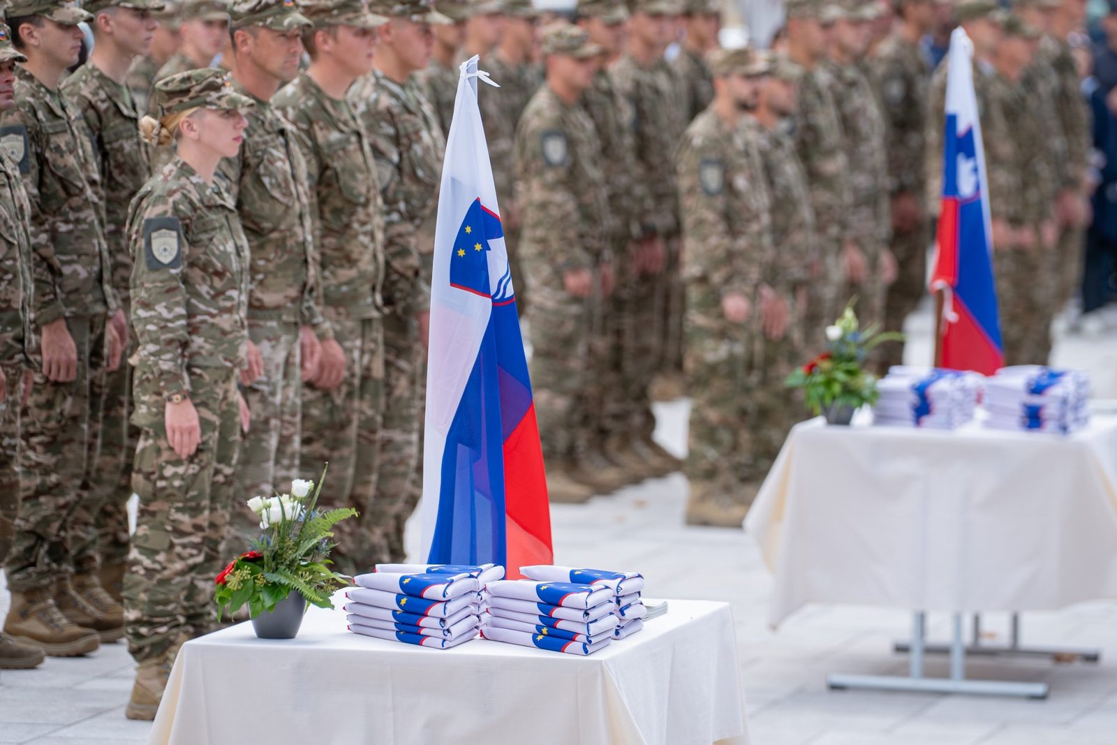 Slovenian Armed Forces to Join EU Rapid Deployment Capabilities