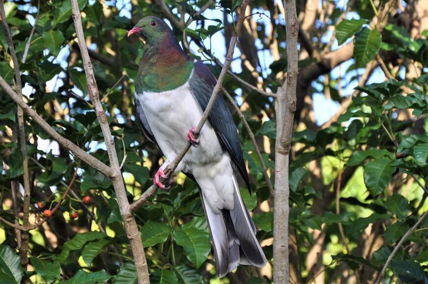 UN Envoy Emphasizes ‘Opportunity to Advance Peace’ in Colombia