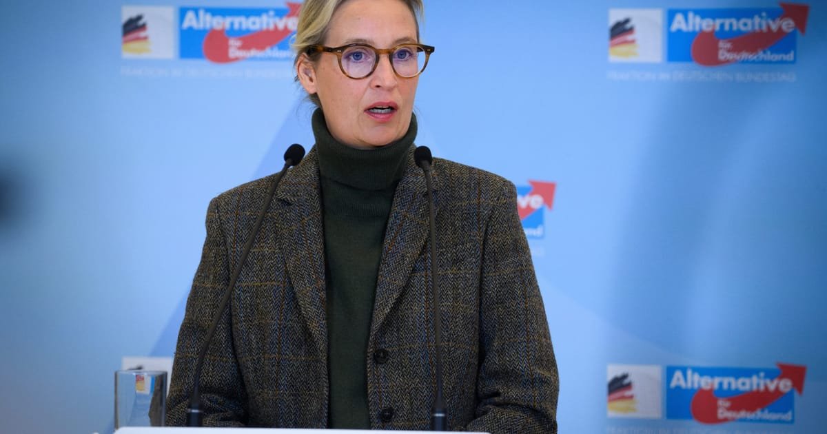 Far-right AfD Seeks Court Victory as Boost for State Elections in Germany
