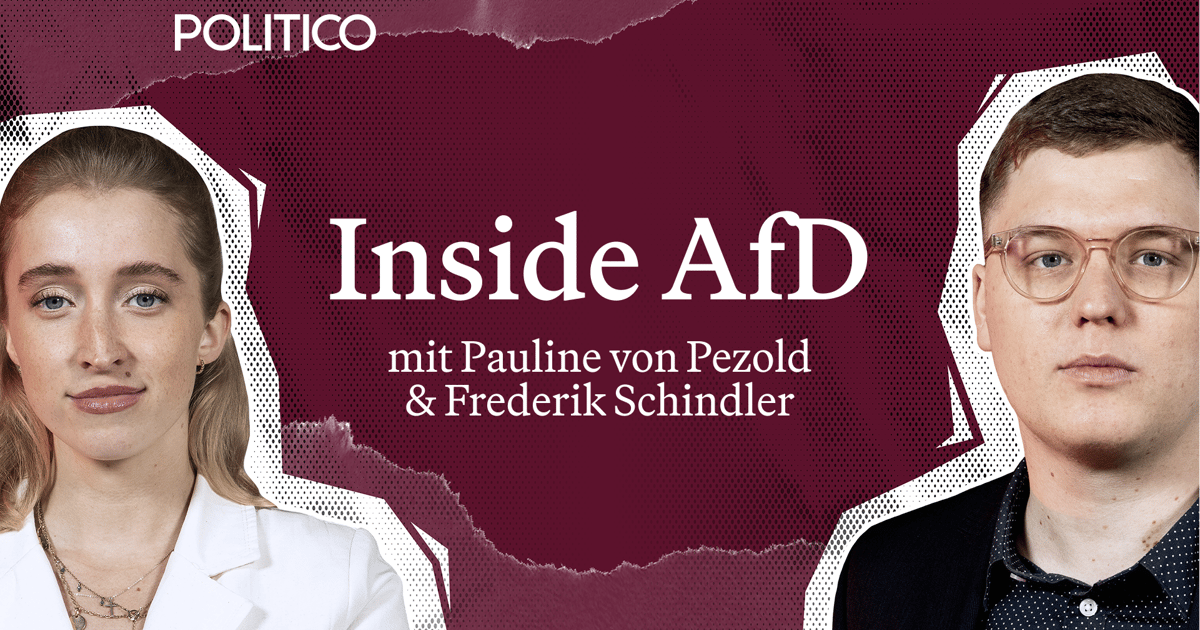 Die AfD und Collien Ulmen-Fernandes