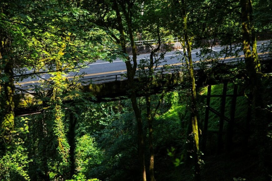 Social fairness key to success of the EU’s new ETS2 cap-and-trade system