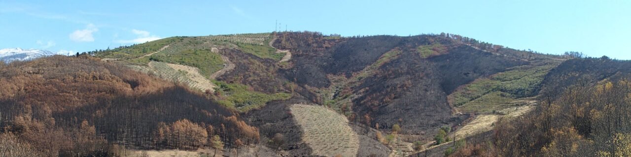 Innovative Solutions Aid Europe in Adapting to Climate Extremes