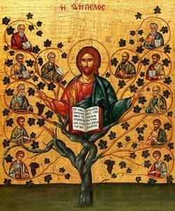 Singular and Plural References to the Holy Trinity in Scripture