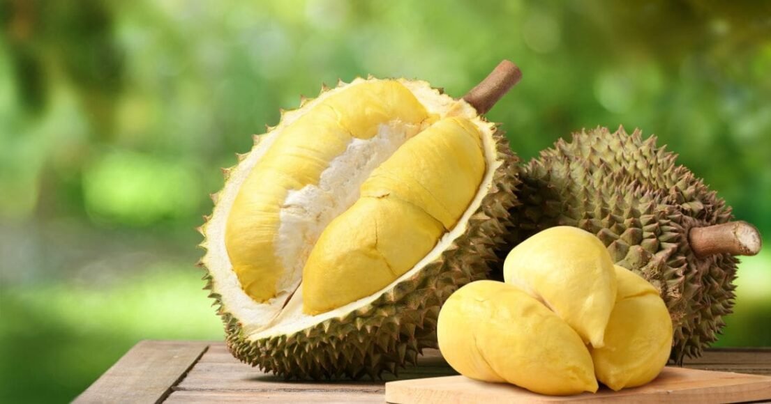 The Product Generating Billions in Profit for Malaysia