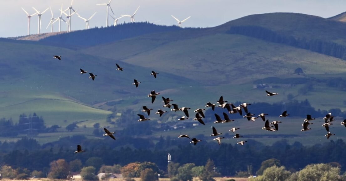 UK Remains Open to Chinese Tech After Halting Major Wind Project