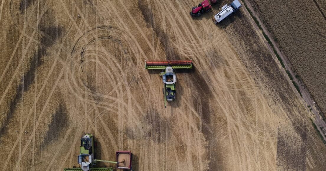 Zelenskyy: Egypt rejects Ukrainian wheat exported by Russia