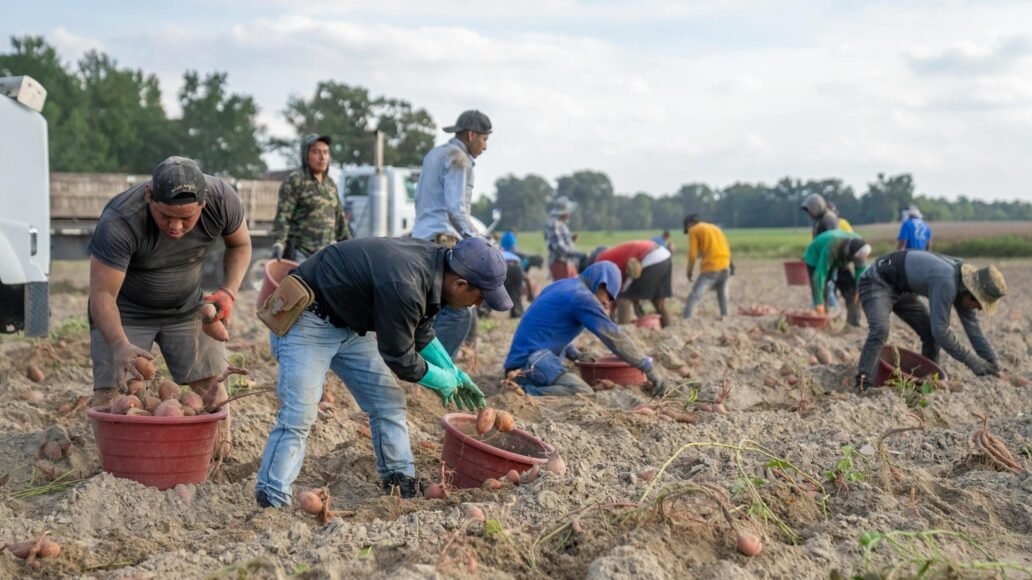 Bulgaria Expedites Seasonal Worker Visas: Issuance in Just 3 Days