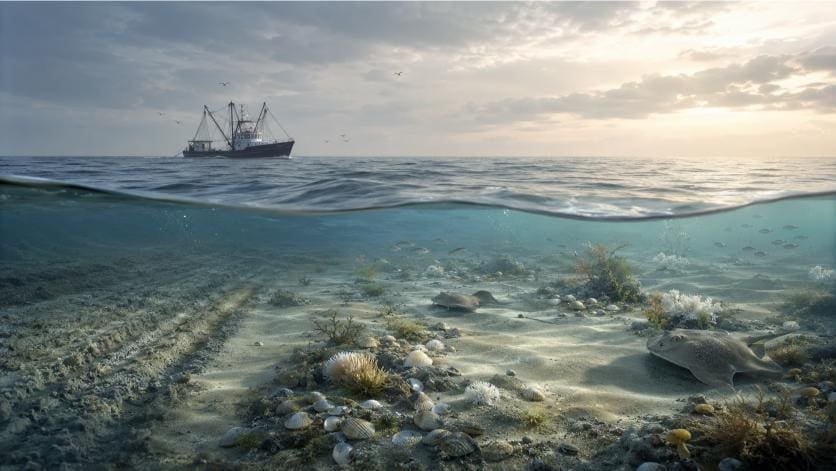 Dutch Court Examines Dogger Bank Safeguards