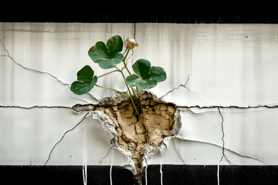EEA Launches 2026 Photo Competition — Resilient by Nature