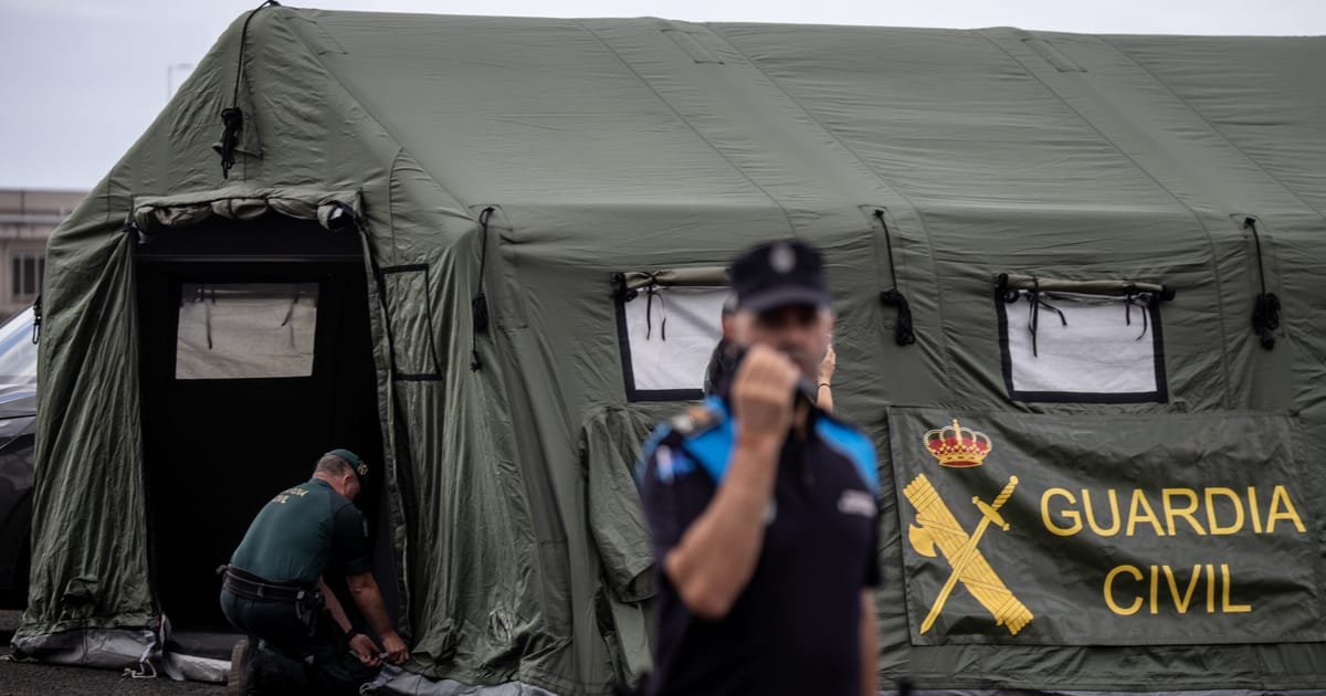 EU nations ready repatriation of hantavirus ship passengers