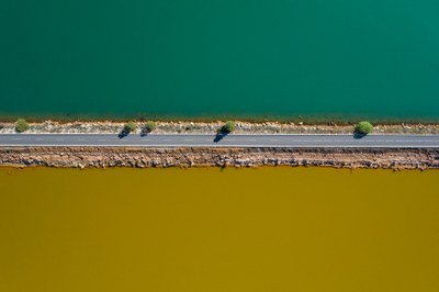 Europe Should Guide AI and Digitalisation to Aid Its Green Transition | Press Releases