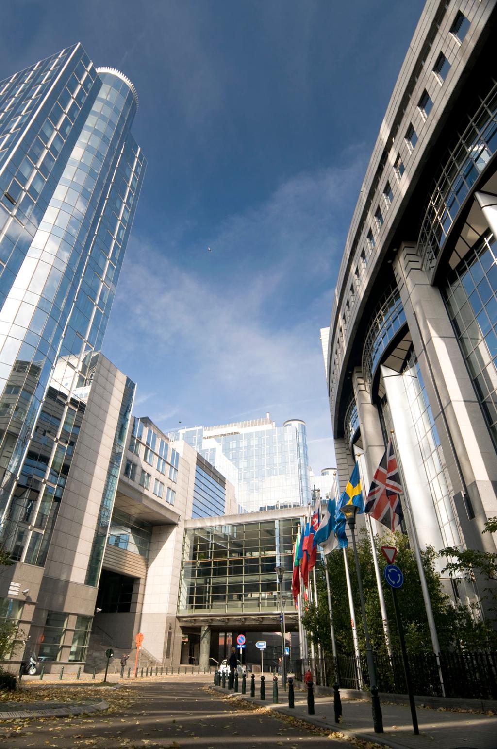Ensuring Public Data Accessibility: The EU’s Challenge in the Digital and Green Transition