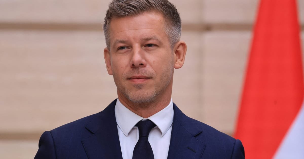 Magyar and Metsola Discuss EU Halting Rule of Law Procedure Against Hungary