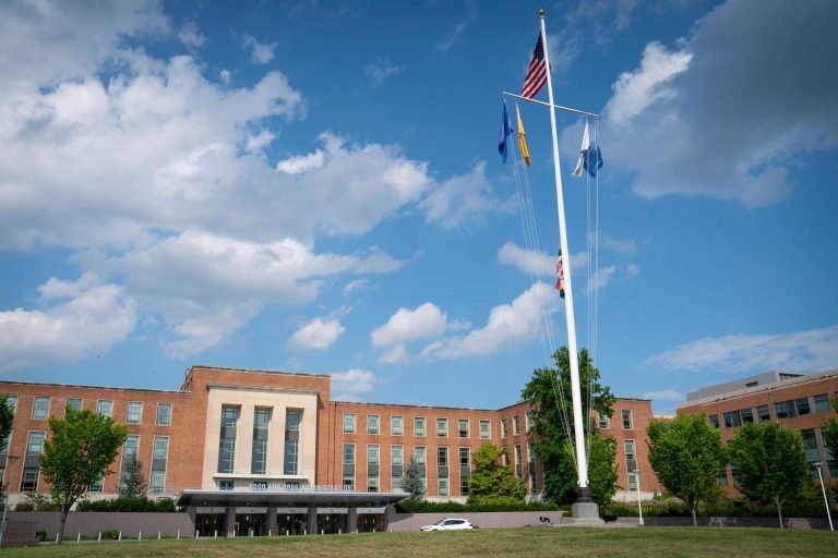Fiserv and BP Alert US Retailers Amid Intensified FDA Vape Enforcement