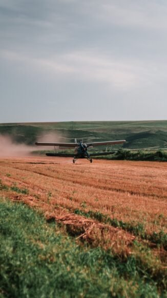 Kadyrov Addresses Chechnya Food Shortage Rumors