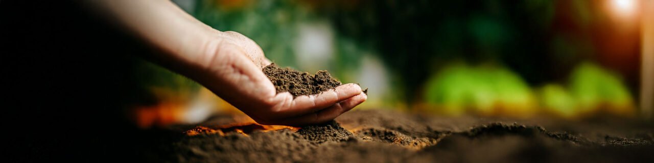 Researchers Focus on Microorganisms That Could Save Our Soils and Health