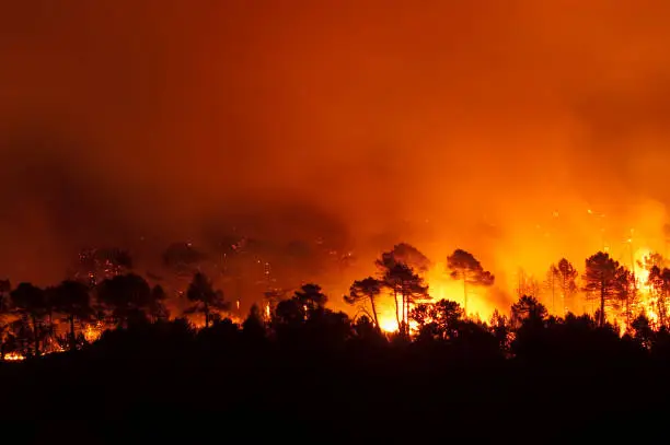Spanish Firefighters Intensify Efforts Against Deadly Almería Blaze