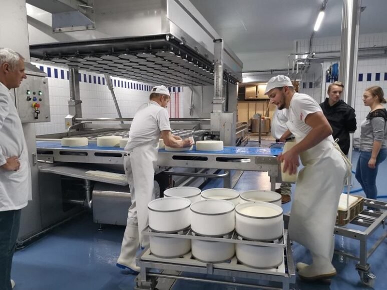 Swiss Dairy Industry Explores New Export Markets Following US Tariff Impact on Cheese Sales