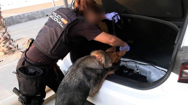 78 Arrests in Crackdown on Major Western Mediterranean Smuggling Network in Spain