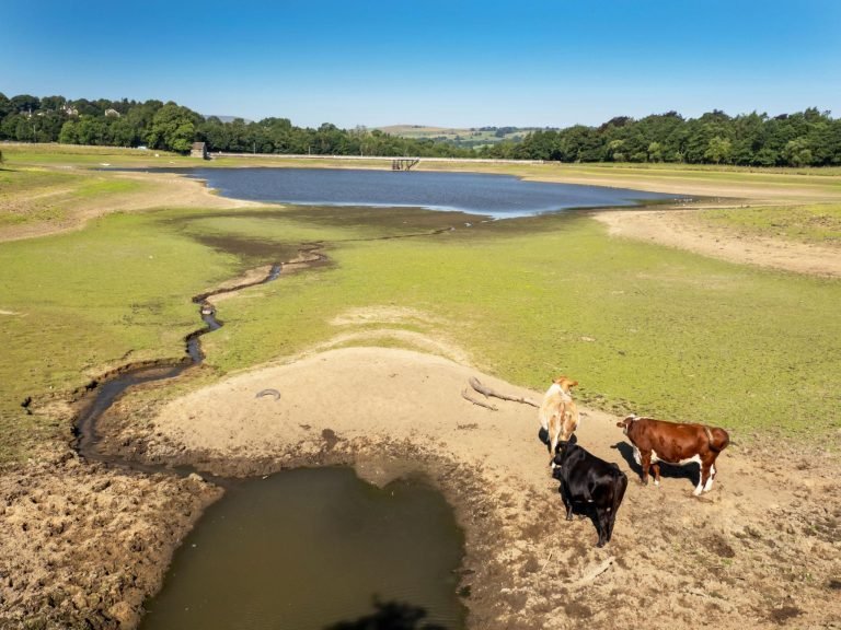 Burnham Announces £65m Drought Support for Farmers