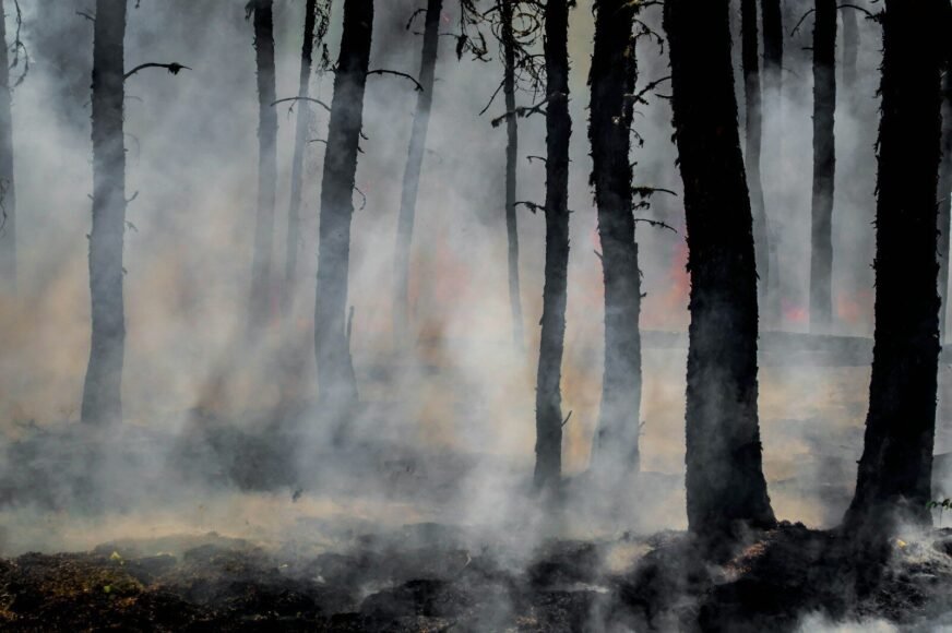 Croatia Investigates Coordinated Zadar Fires
