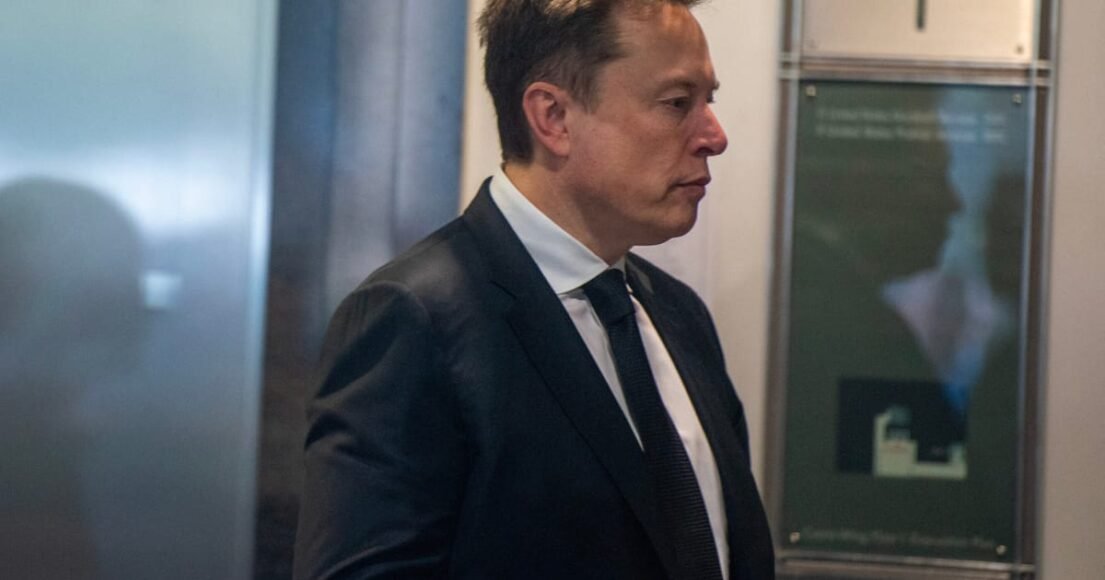Musk Advocates for Silencing French Greens’ Presidential Candidate