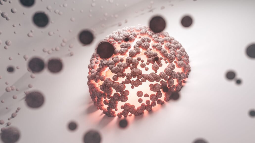 Number of Cells in the Human Body