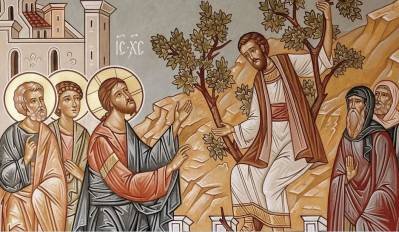 Preserving Dogma within the Church (5)