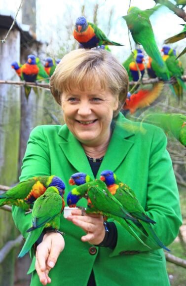 Snakes on a Campaign Trail: When Animals Attack Politicians