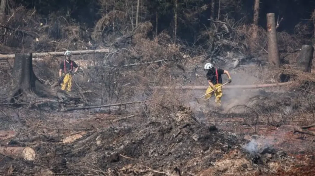 Wildfires Detonate WWII Bombs in Belgium’s High Fens